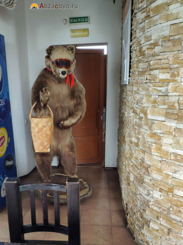 медведь в кафе Веста в Абзаково