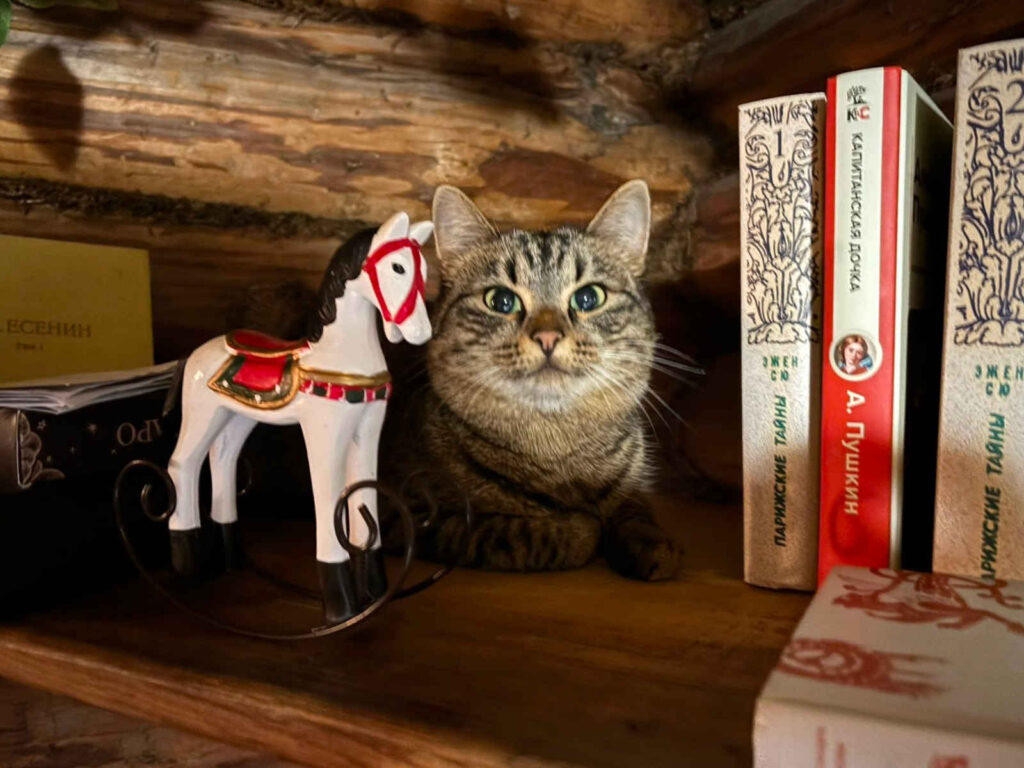 Абзаково, дома у Кристины