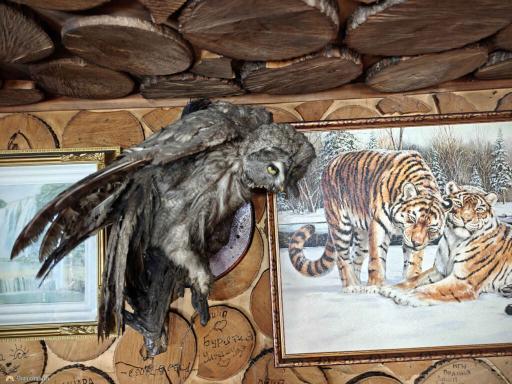 Интерьер кафе Курташ, Белорецк, чучело совы