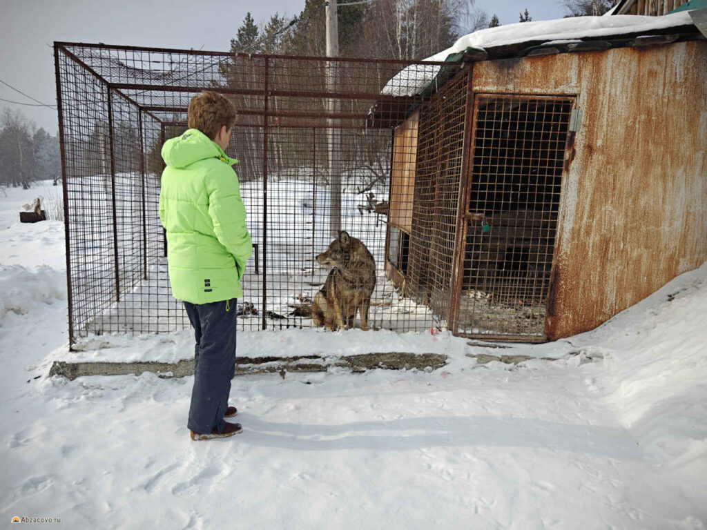 Мини зоопарк кафе Курташ, Белорецк
